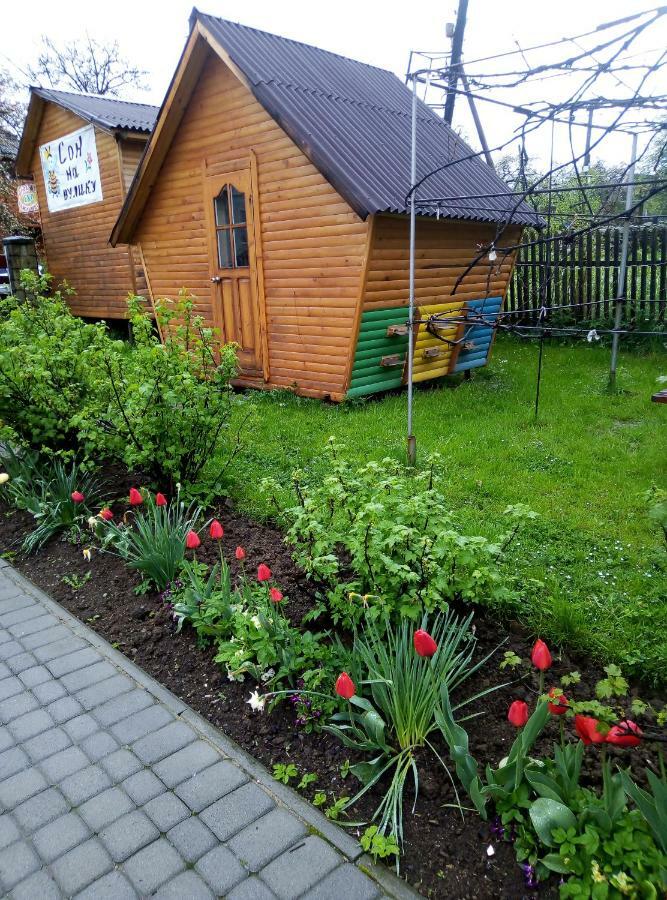 "У Пасічника" Котедж Для Сім'Ї Яремче Екстер'єр фото